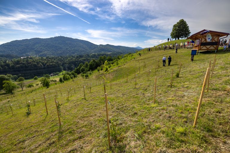 cebelji-paradiz, andraz-nad-polzelo