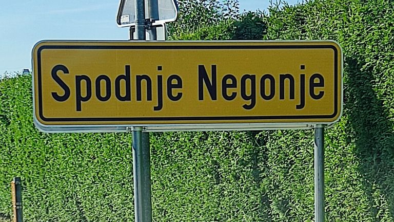 Spodnje Negonje