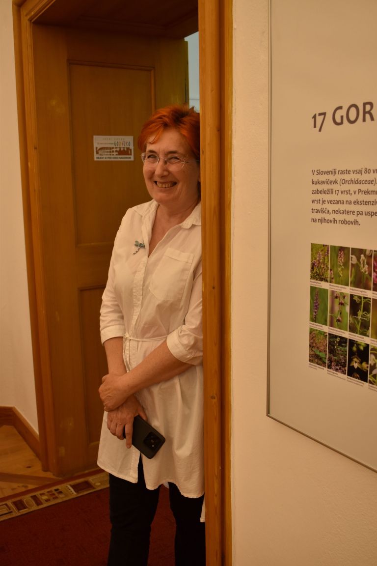grad-na-gorickem, razstava, orhideje