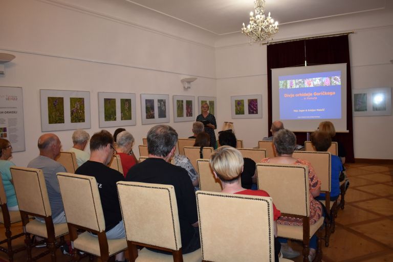 grad-na-gorickem, razstava, orhideje