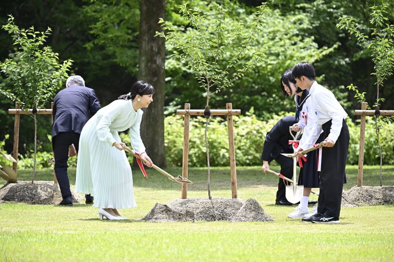 kako 2.jpg
