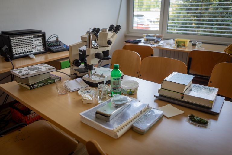 bioblitz, radenska, flora, favna