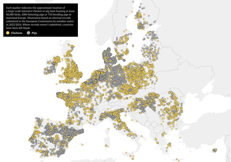 megafarme eu.jpg