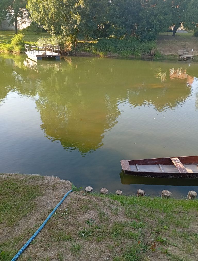 reka-krka, rjava