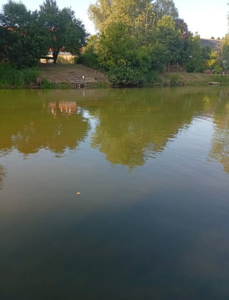 reka-krka, rjava