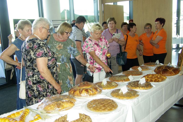 dpz-skocjan, podelezke, 20-let, razstava