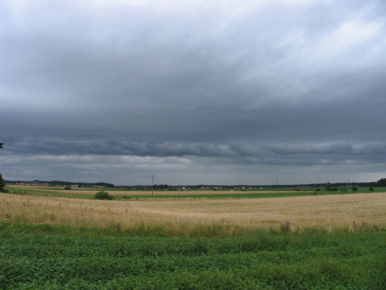 Zelenjavni9-jul21.JPG