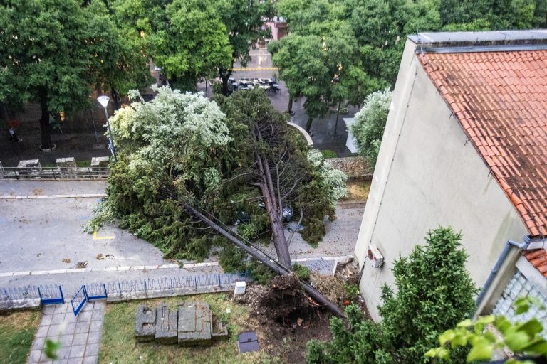 pulj, neurje