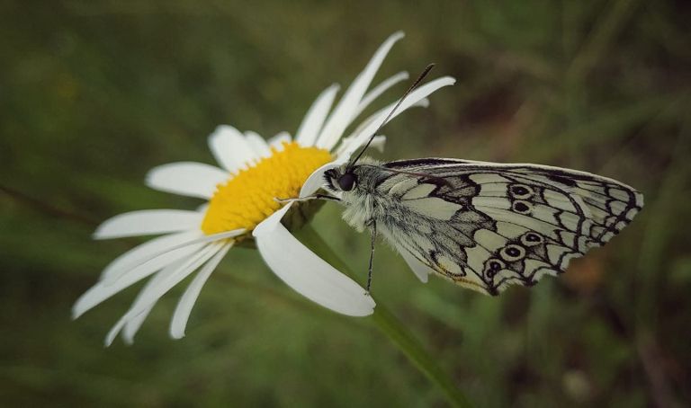 barbara-hebar, fotografija, dobje