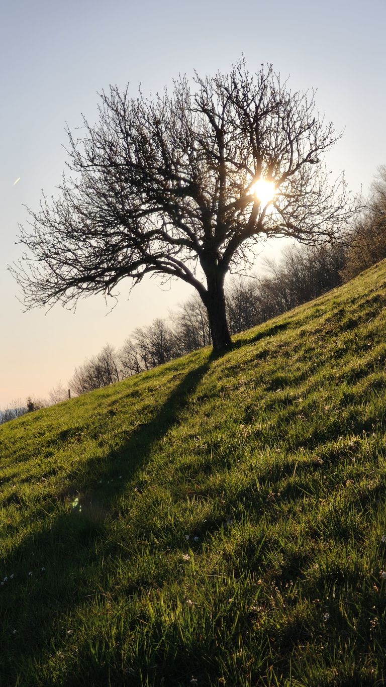 barbara-hebar, fotografija, dobje