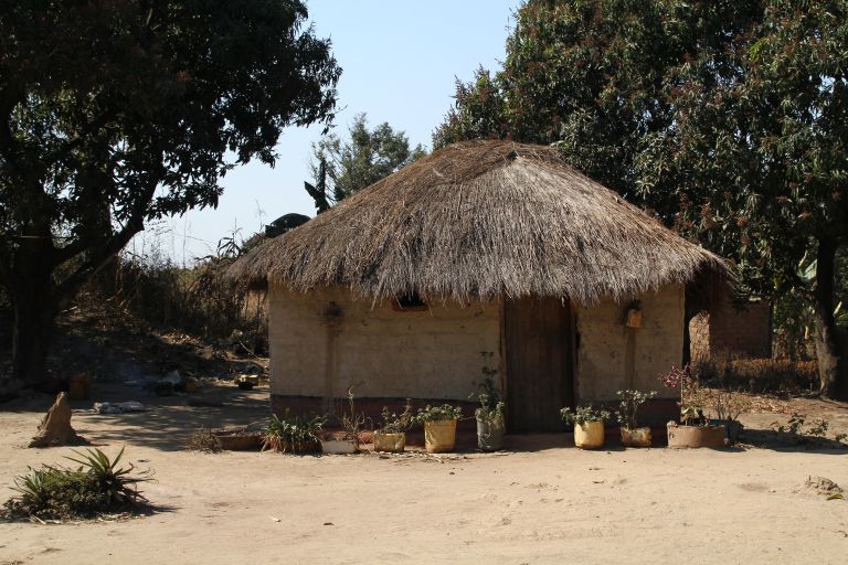 zambija