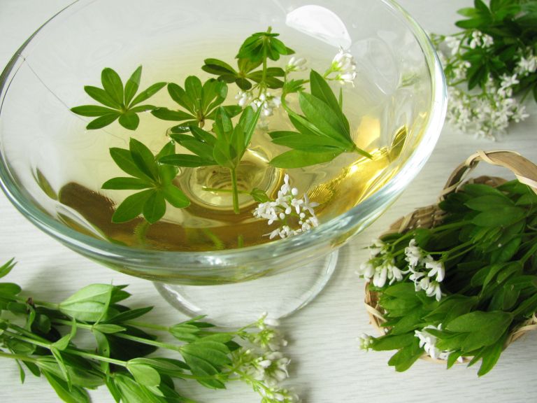 aroma1-jul21.jpg