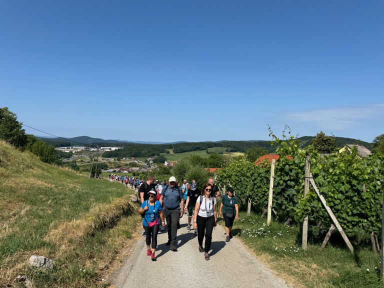 mirnopesko-brencanje