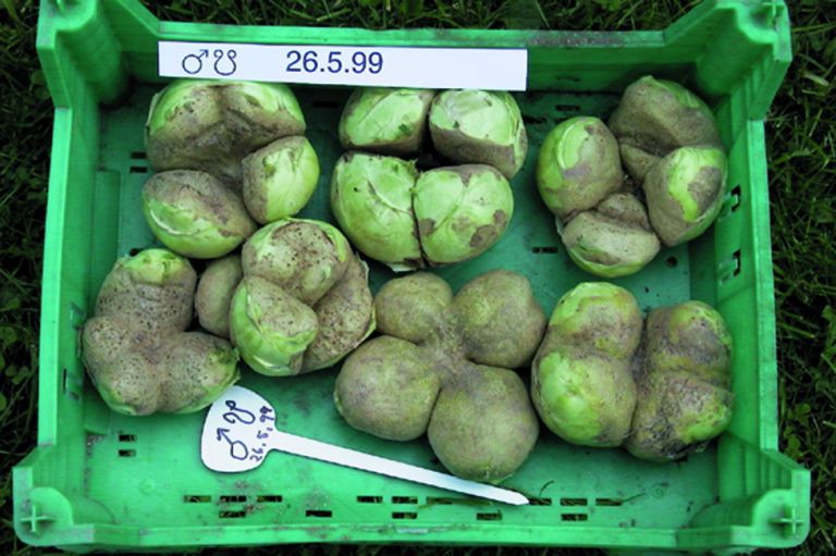 Biodinamika6-jul22.jpg