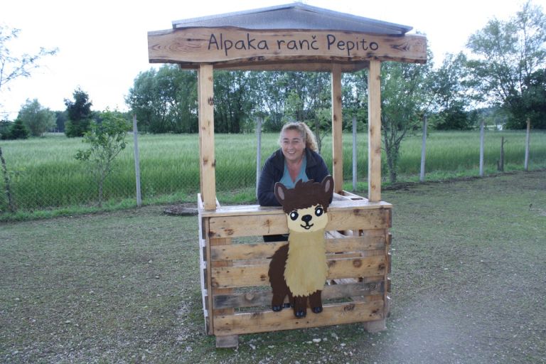 alpaka-ranc-pepito-prijatelji