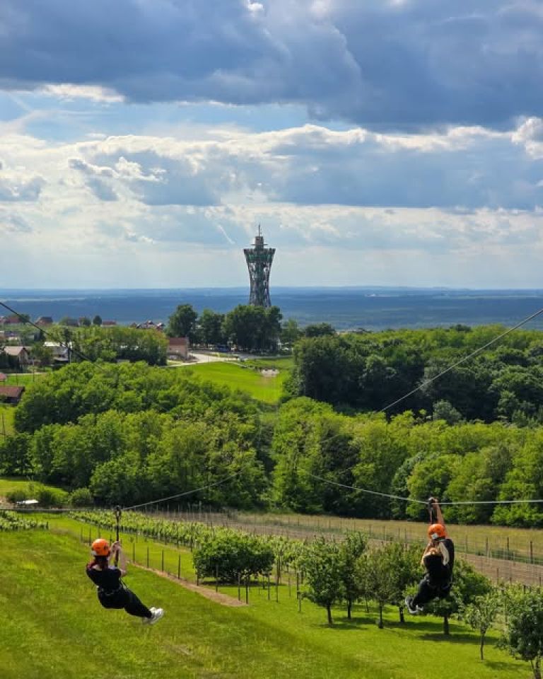 vinarium-lendava
