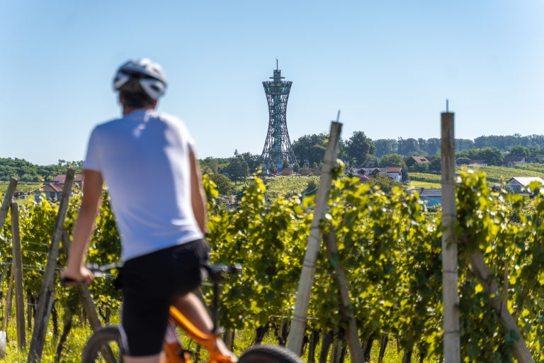 vinarium-lendava