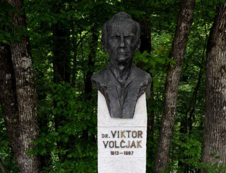 Viktor Volčjak.jpg