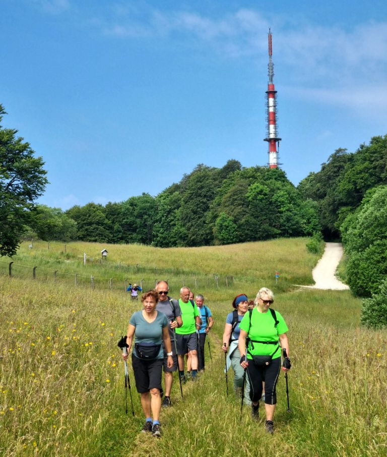 du-dolenjske-toplice, trdinova-pot
