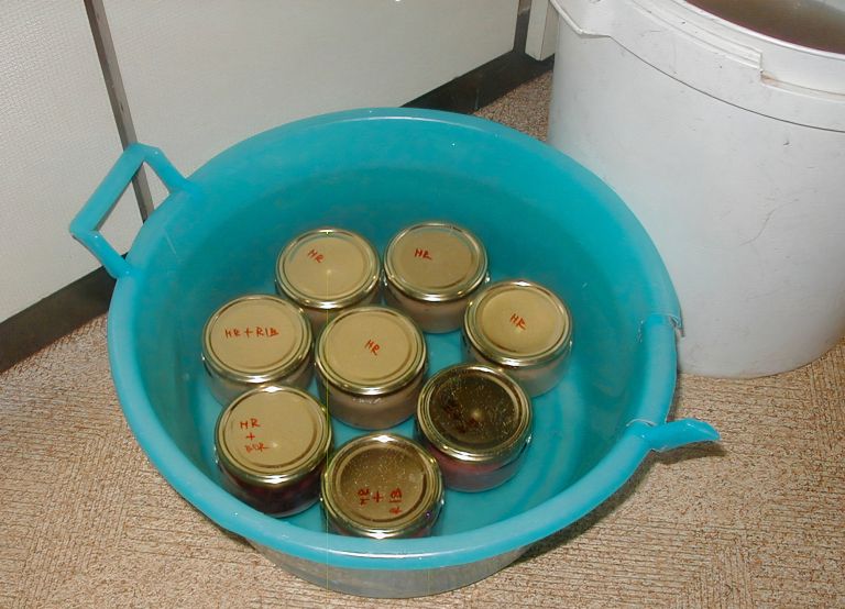 Biodinamika12-jul24.jpg