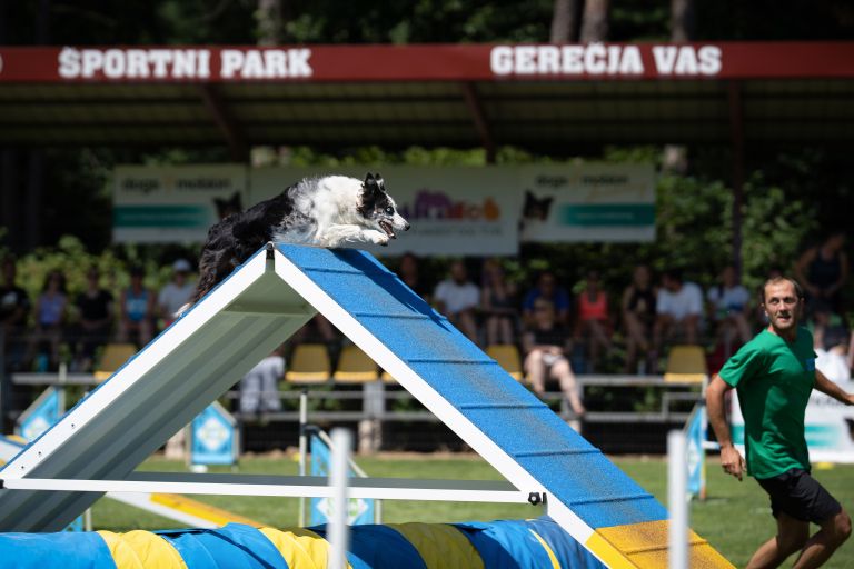 agility_final-09077 (1).jpg