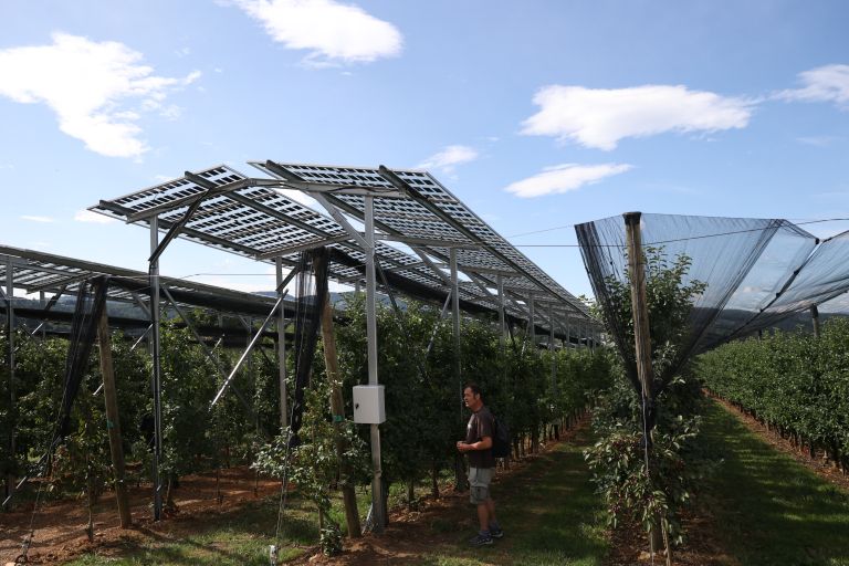 agrofotovoltaika