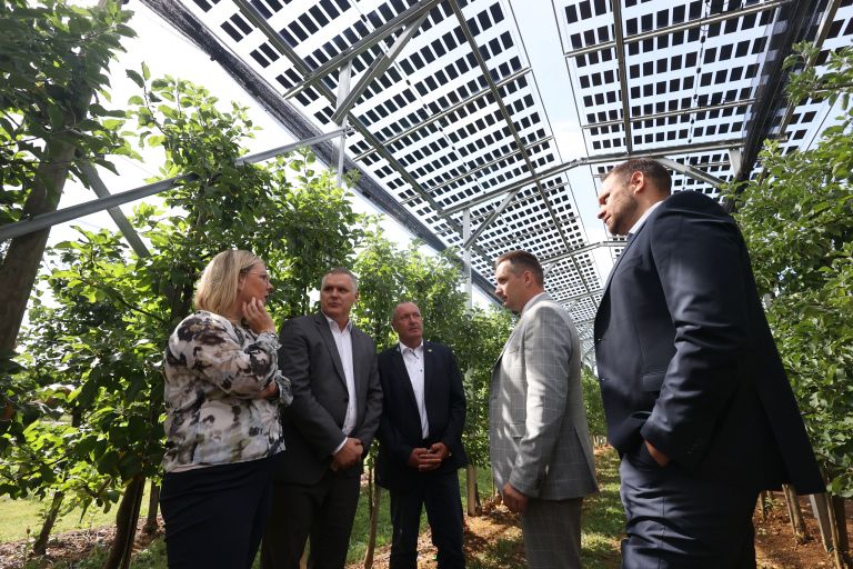 agrofotovoltaika
