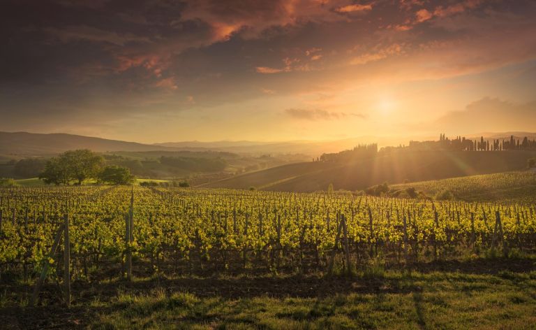 Montalcino