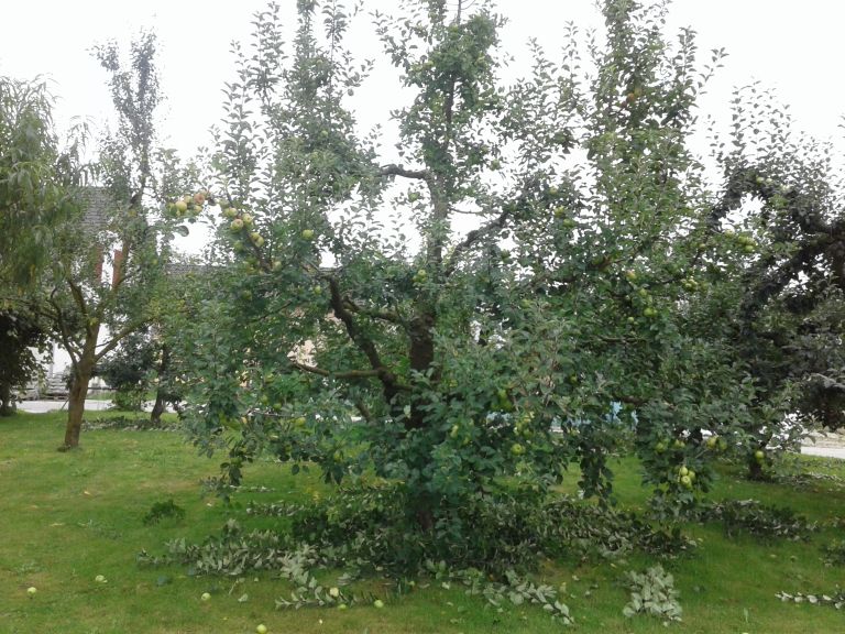 Mojstri5-jul24.jpg