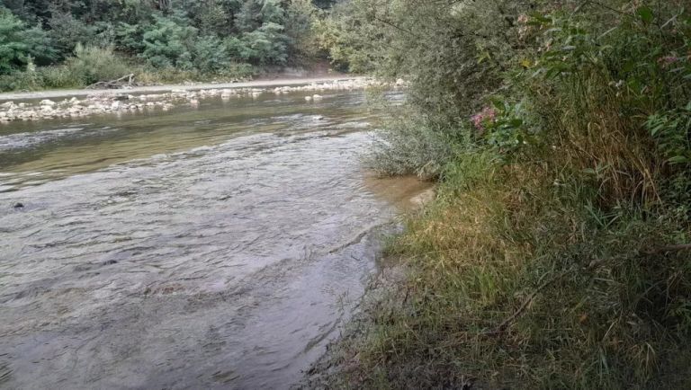 savinja občina.jpg