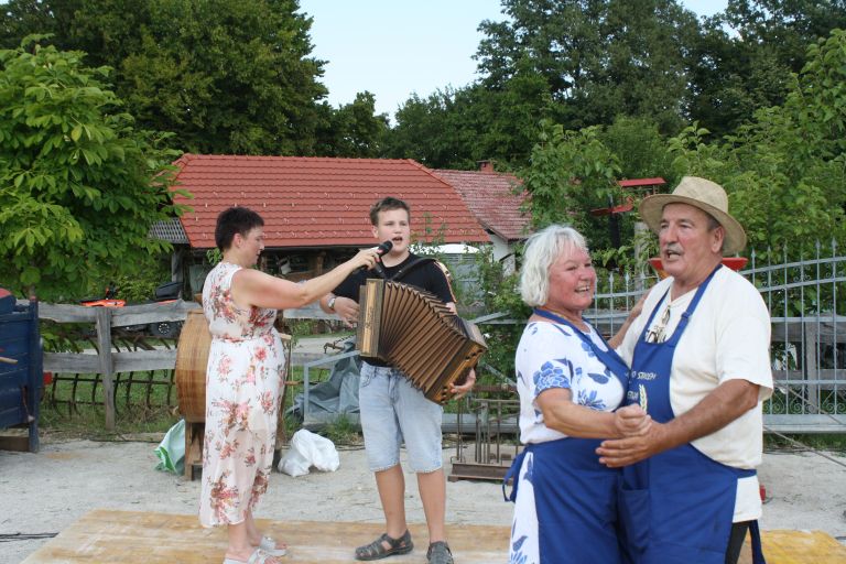 zetev-psenice-po-starem, zetev-na-trscini-2025