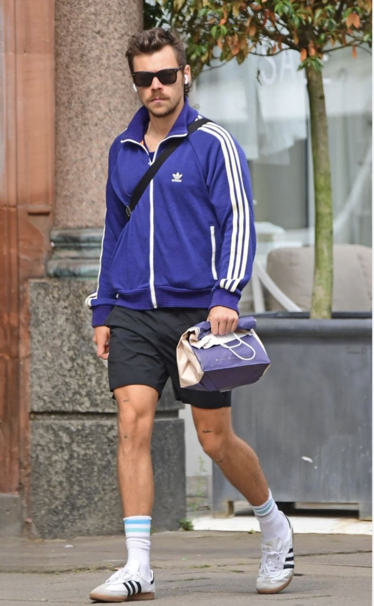 harry styles 1.jpg
