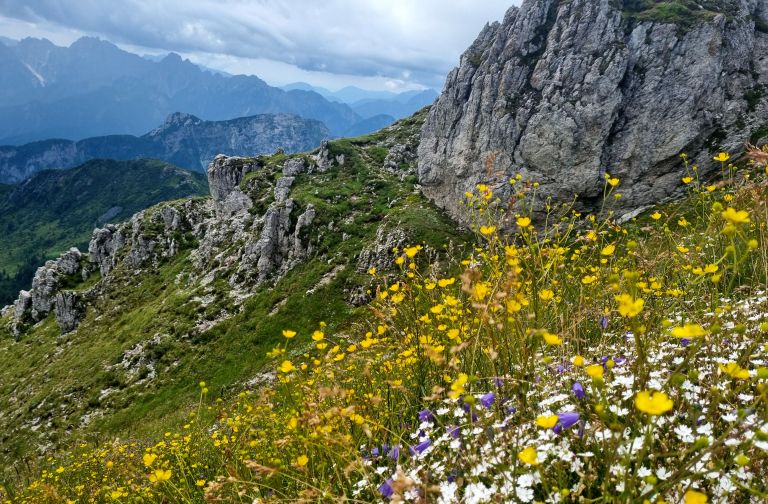 du-dolenjske-toplice, karnijske-alpe