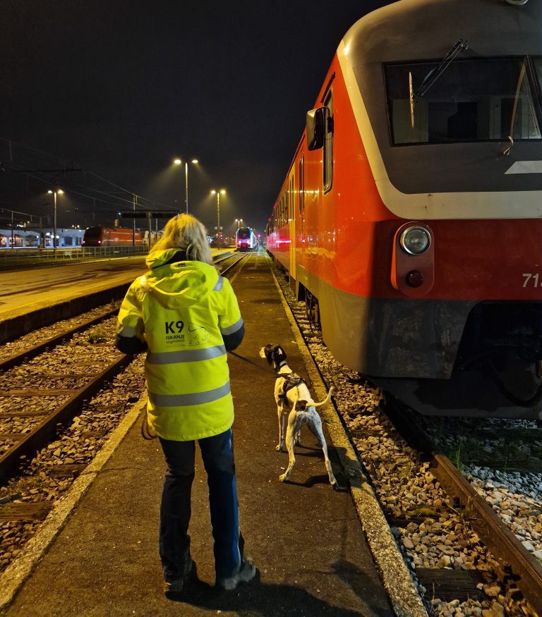 iskanje-pogrešanih-živali, psi, sabina-piber, ekipa-k9