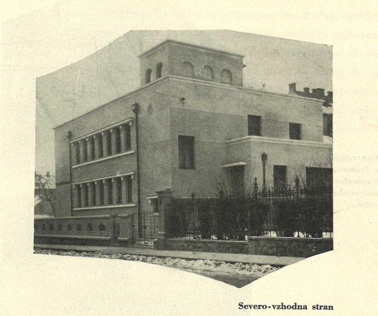 mirko-cernic