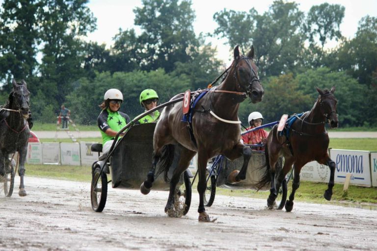 kasaski-klub-ljutomer, kasaske-dirke, hipodrom, ljutomer