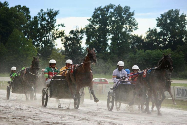 kasaski-klub-ljutomer, kasaske-dirke, hipodrom, ljutomer