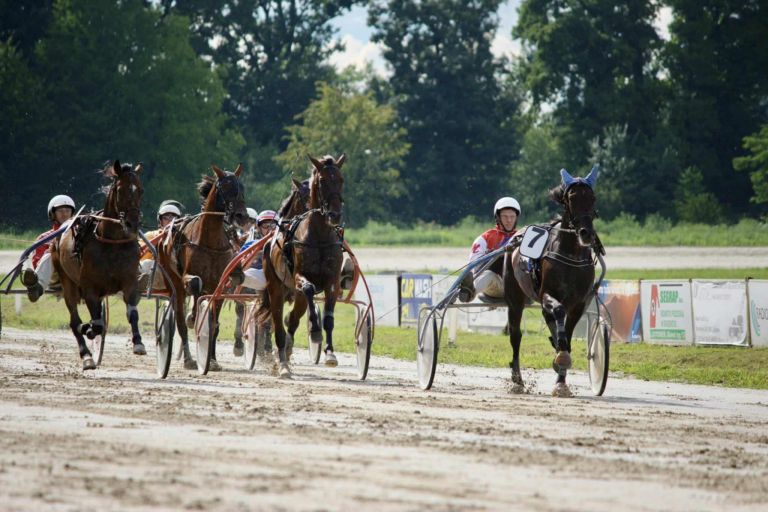 kasaski-klub-ljutomer, kasaske-dirke, hipodrom, ljutomer