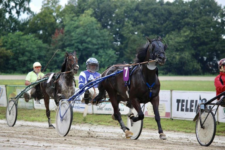 kasaski-klub-ljutomer, kasaske-dirke, hipodrom, ljutomer