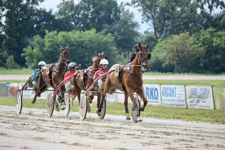 kasaski-klub-ljutomer, kasaske-dirke, hipodrom, ljutomer