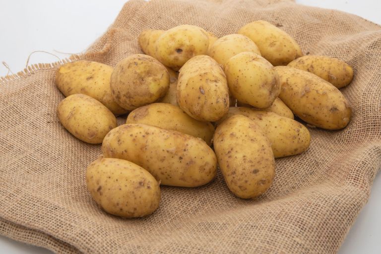 dieta proti driski