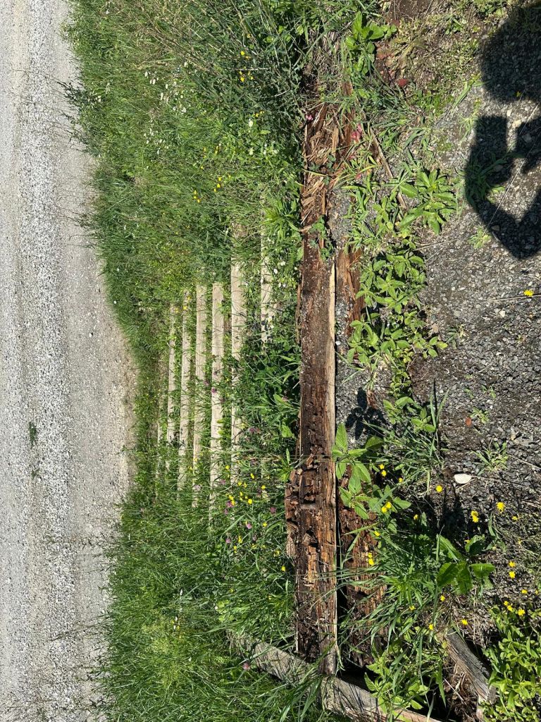 MZ Panorama 3.jpg