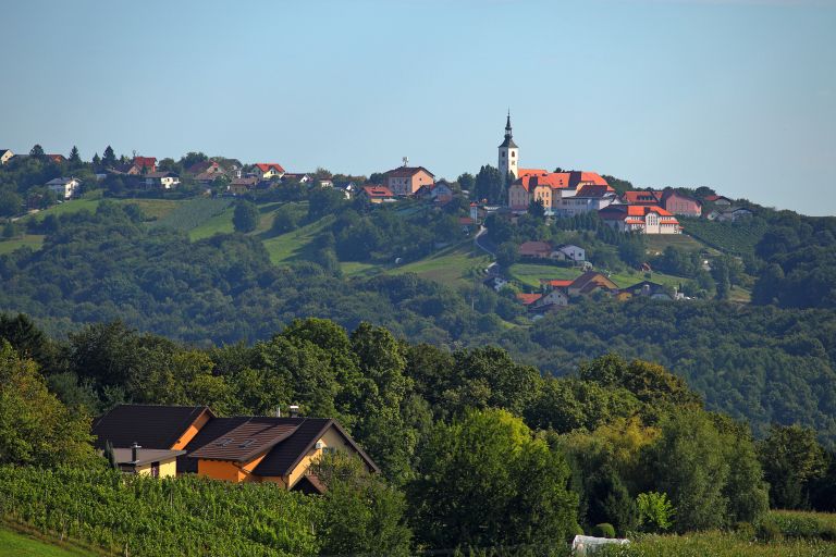 cg_socialna_slovenske_gorice_2.jpg