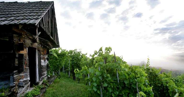 mh-naslovka-če bo treba.jpg