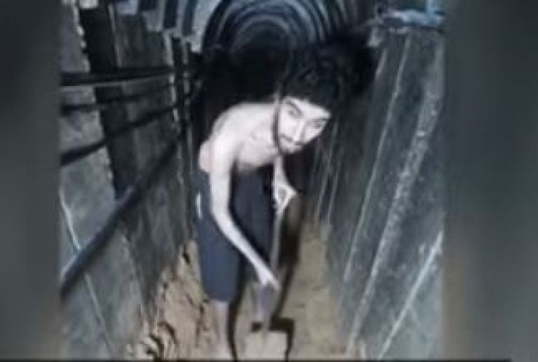talec.JPG