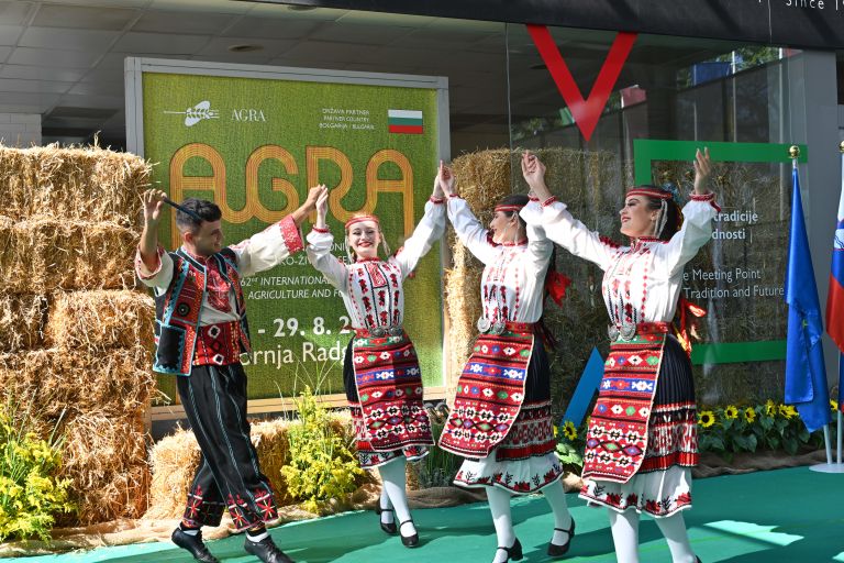 Mednarodno zabaven – kopija.JPG