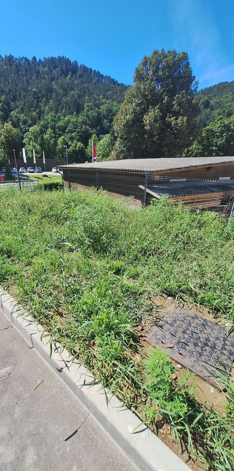 zp-litija