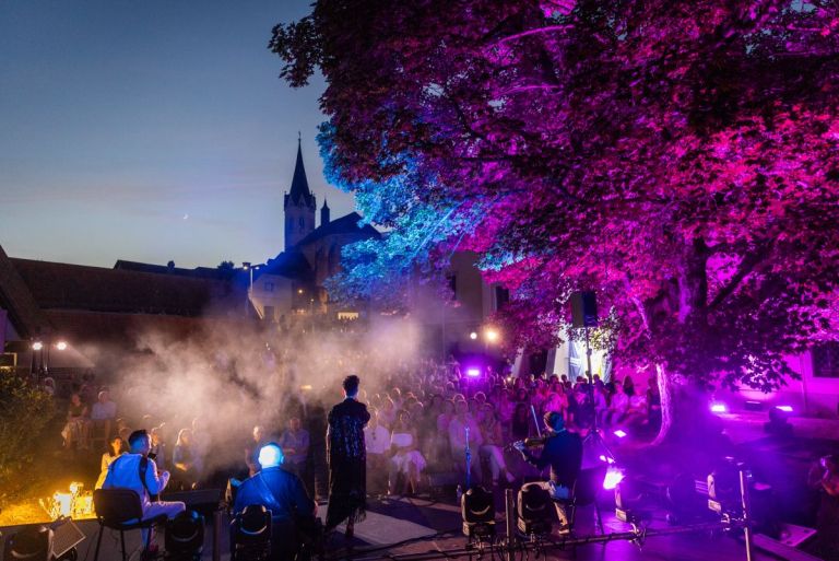 festival-novomesko-poletje-2025