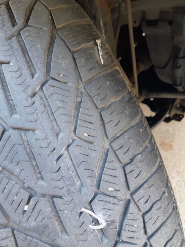 Žeblji v gumi_Krplivnik_2025.jpg