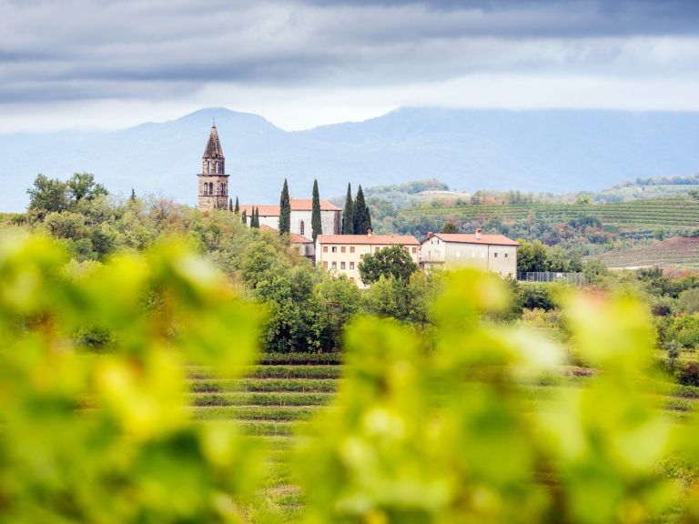 Goriška Brda